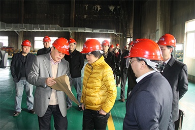 2012年1月31日，時(shí)任嘉興市委書記魯俊率領(lǐng)市發(fā)改委等市級(jí)部門負(fù)責(zé)人到公司調(diào)研