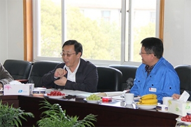 2013年3月18日，時任國家工信部節(jié)能司副司長楊鐵生一行蒞臨公司參觀指導(dǎo)